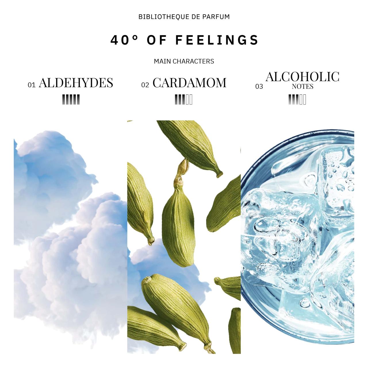 Bibliotheque De Parfum 40° of Feelings