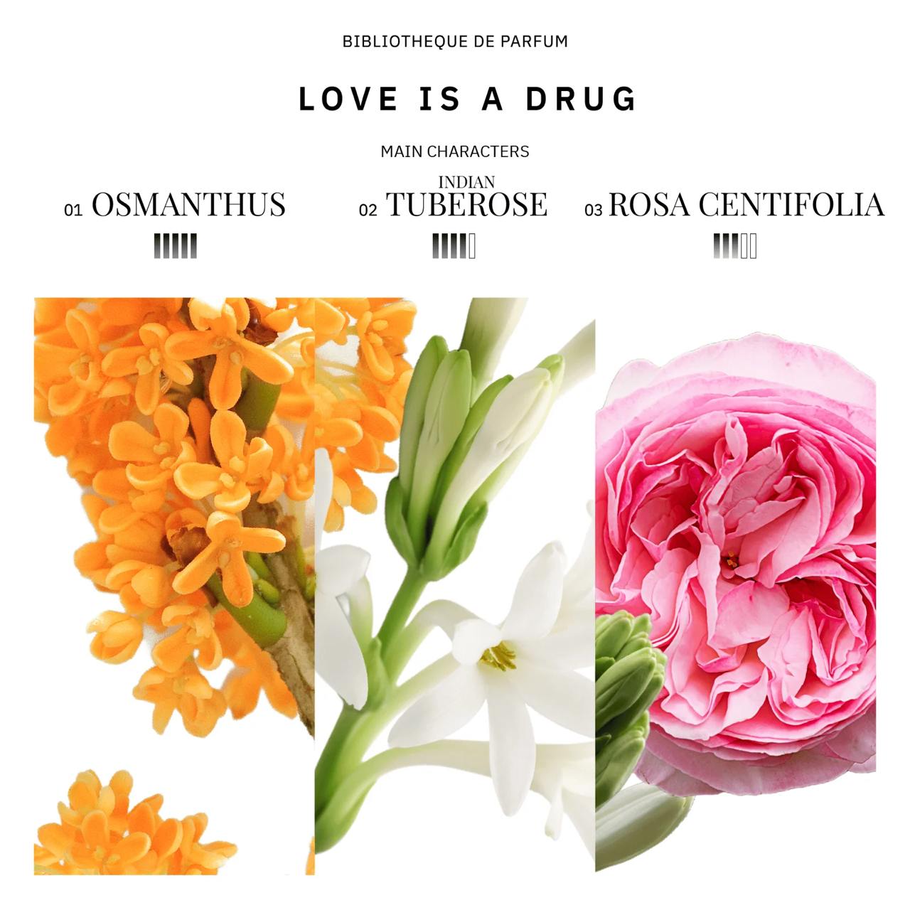 Bibliotheque de Parfum Love is a Drug